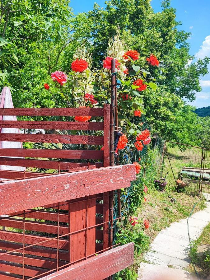 Apartment Dedo, Salara Farmhouse โคเปร์ ภายนอก รูปภาพ