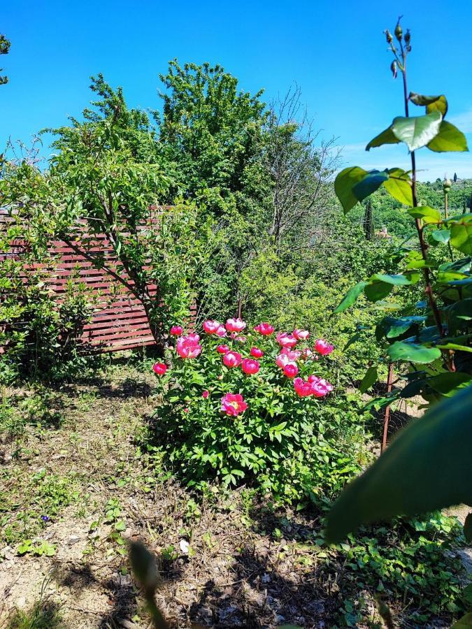 Apartment Dedo, Salara Farmhouse โคเปร์ ภายนอก รูปภาพ